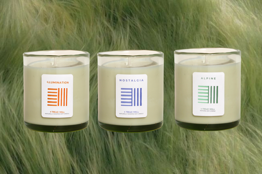 Non-Toxic Candles: How Natural Waxes & Essential Oils Improved Our Well-Being