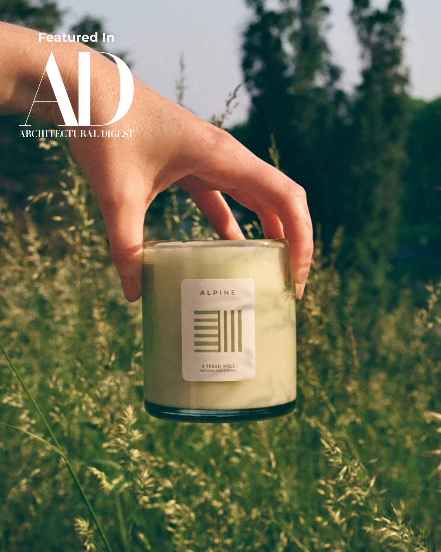 Hand holding a candle labeled 'Alpine' with 'Architectural Digest' branding in a natural setting.