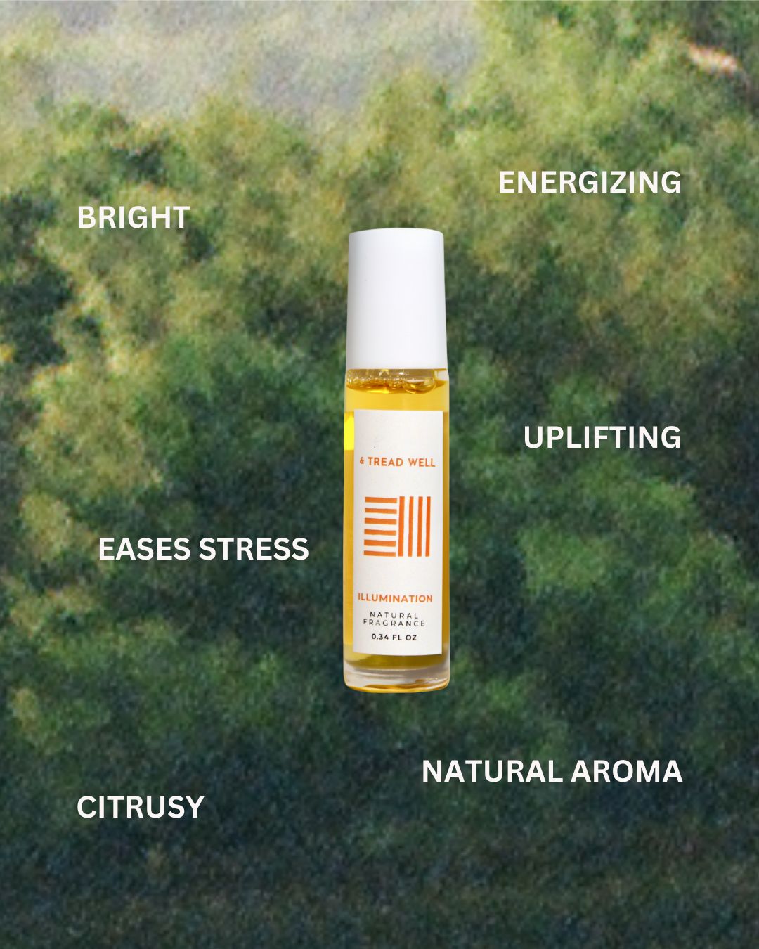 Natural Fragrance – Illumination