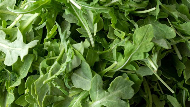 Healthy Salad Recipe