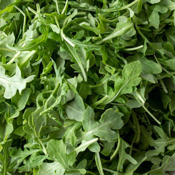 Healthy Salad Recipe