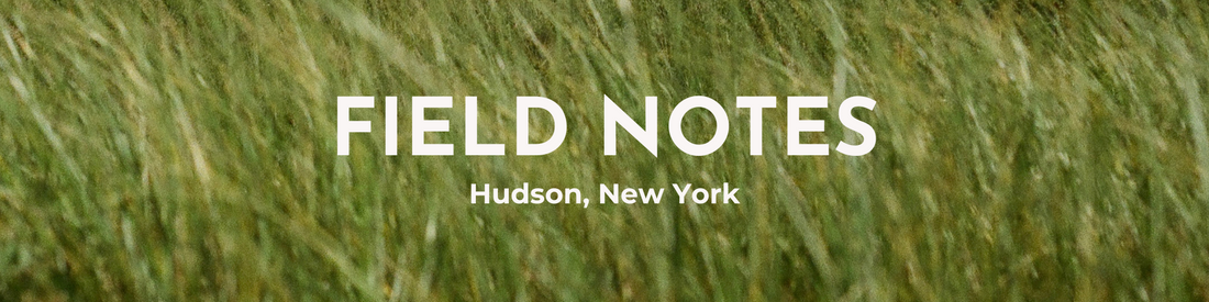 Field Notes: Hudson, NY