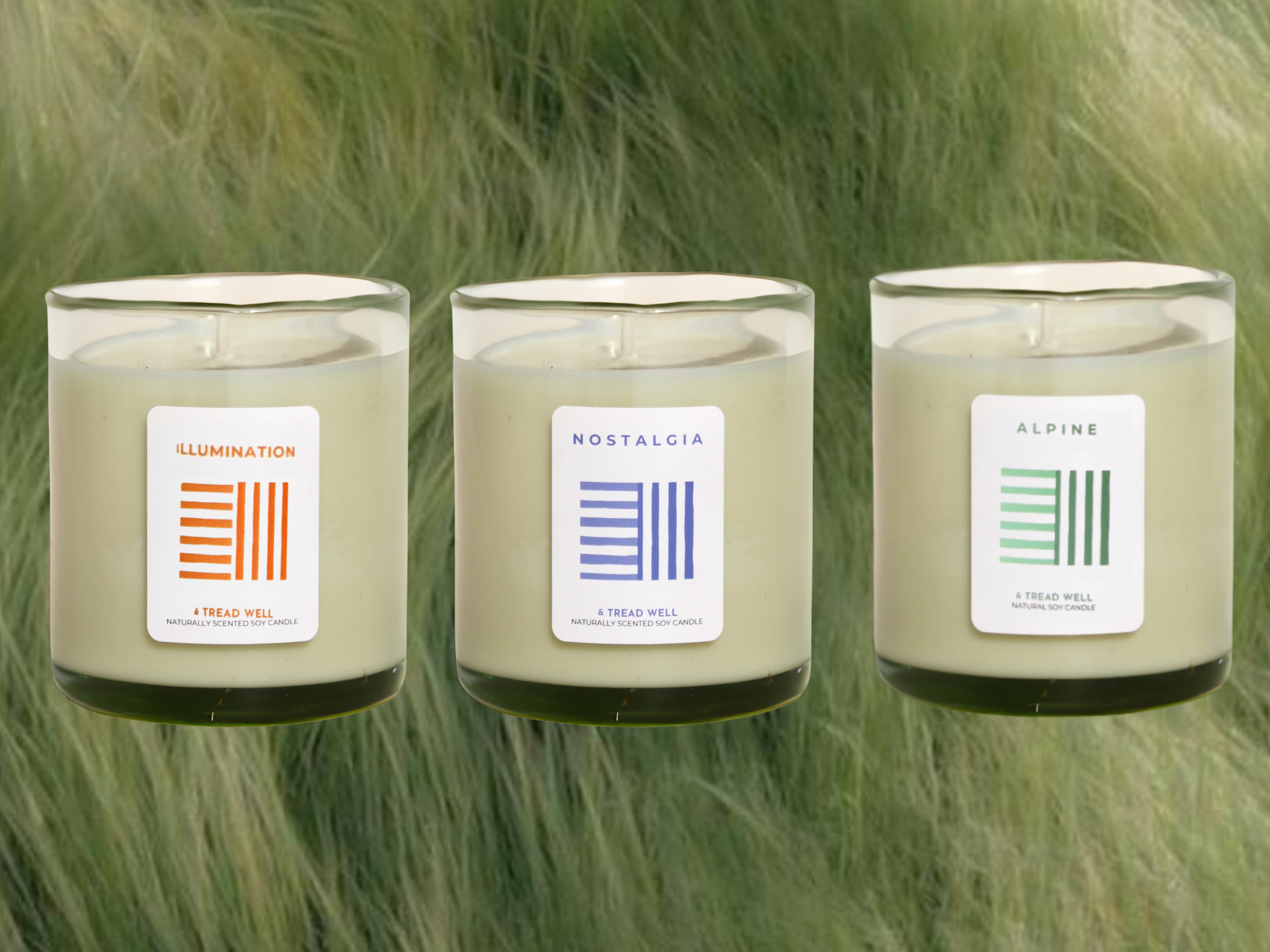 Non-Toxic Candles: How Natural Waxes & Essential Oils Improved Our Well-Being