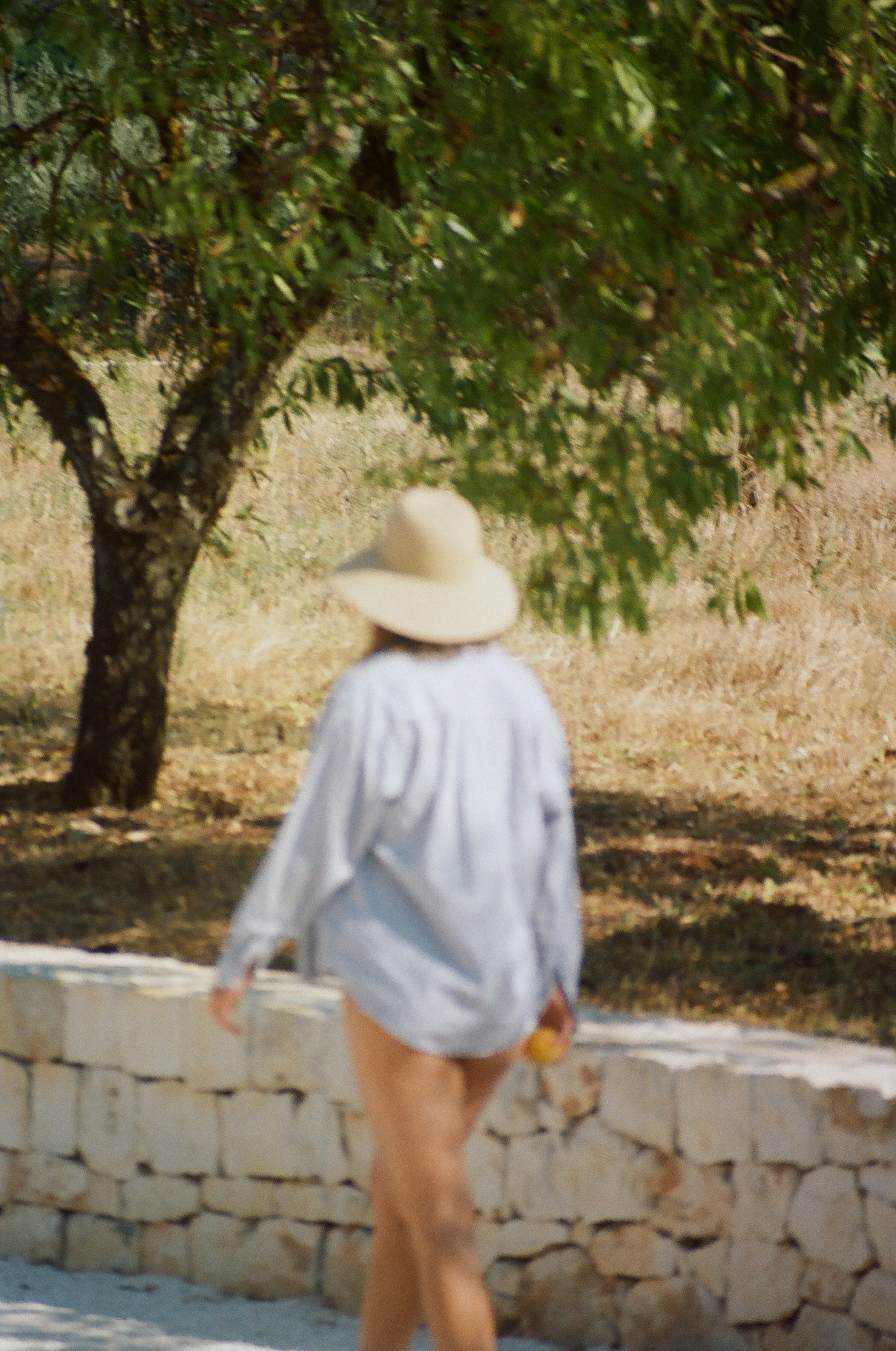 a person wearing a hat and walking by a tree