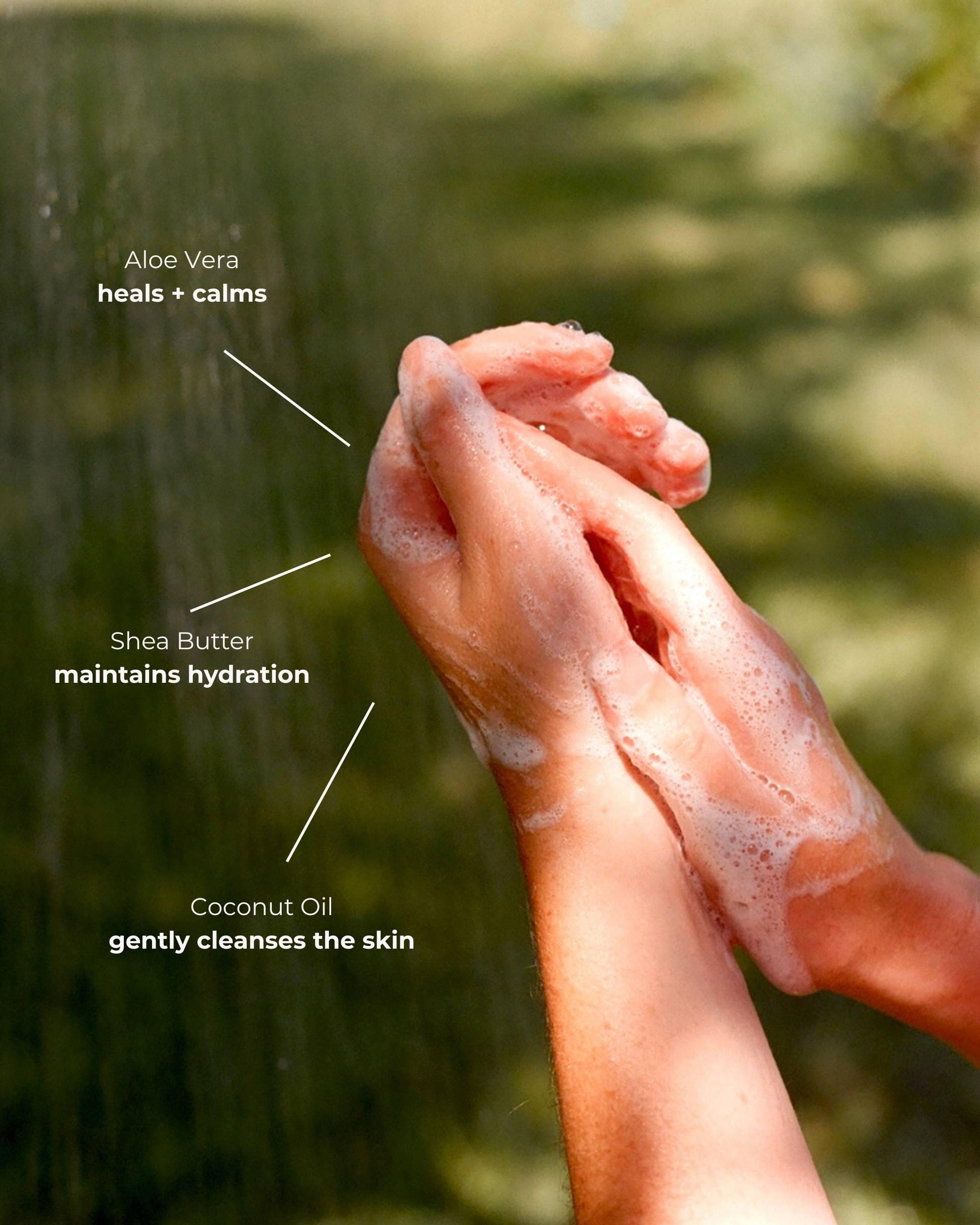 Hand & Body Wash