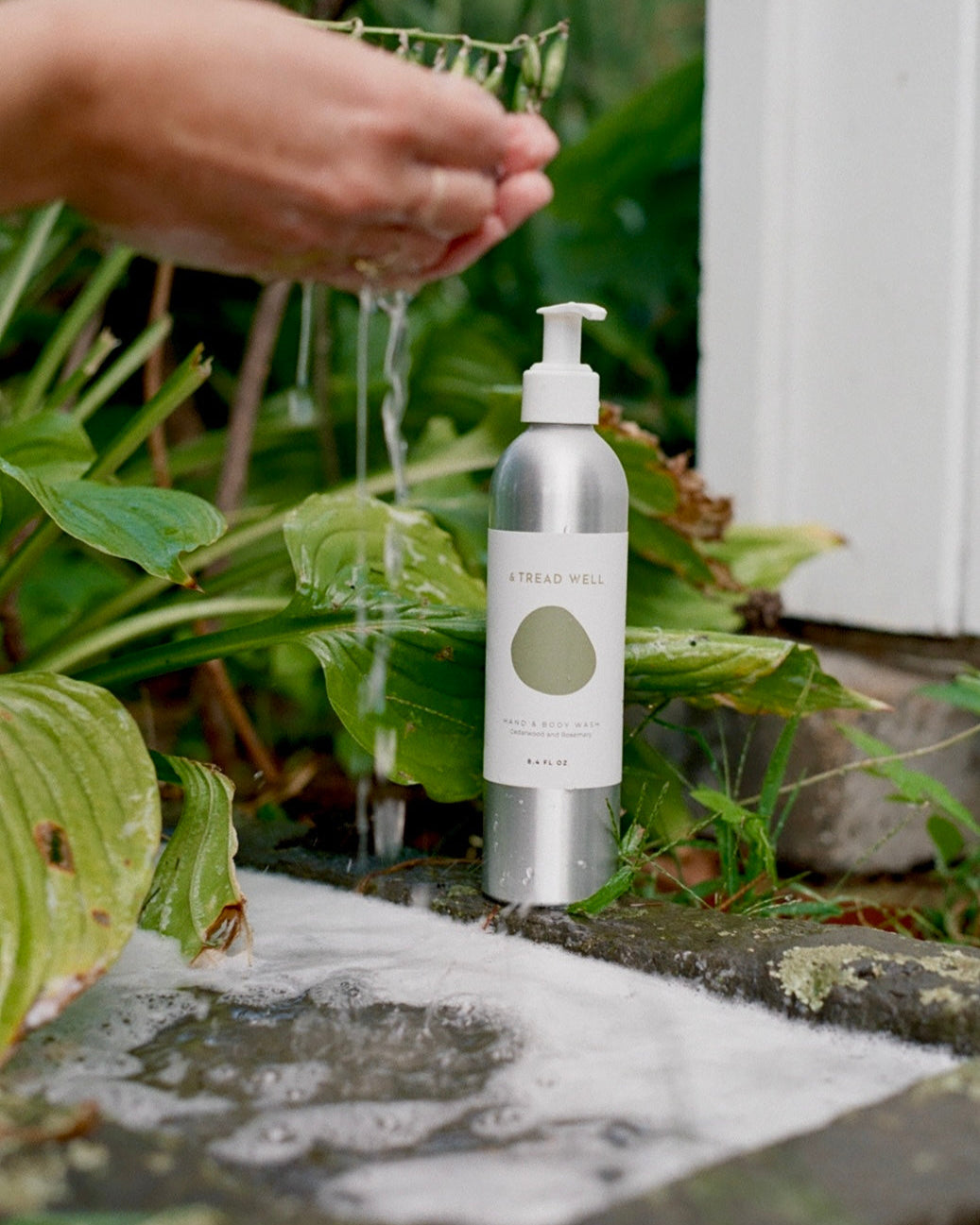 Hand & Body Wash