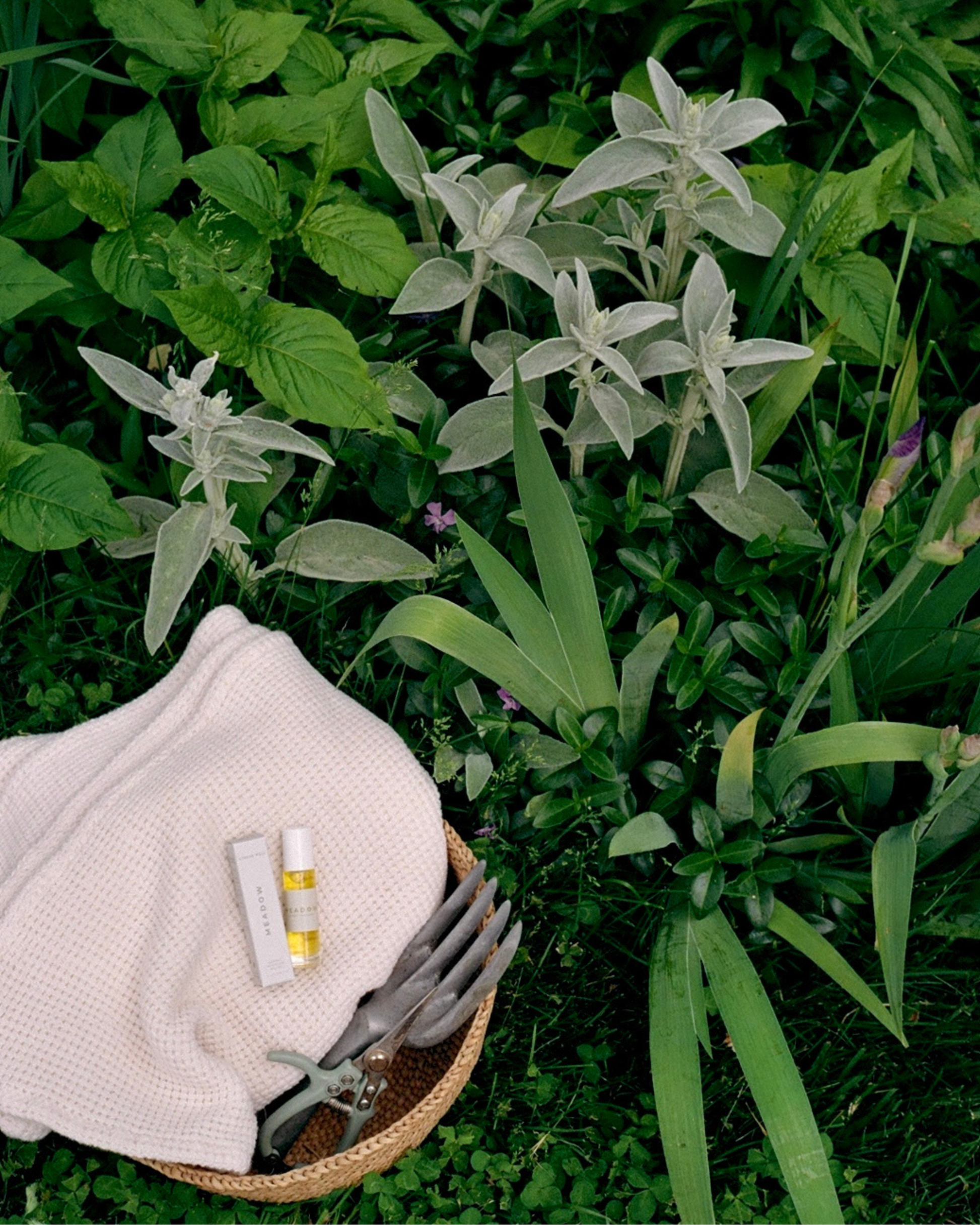 Meadow Natural Fragrance