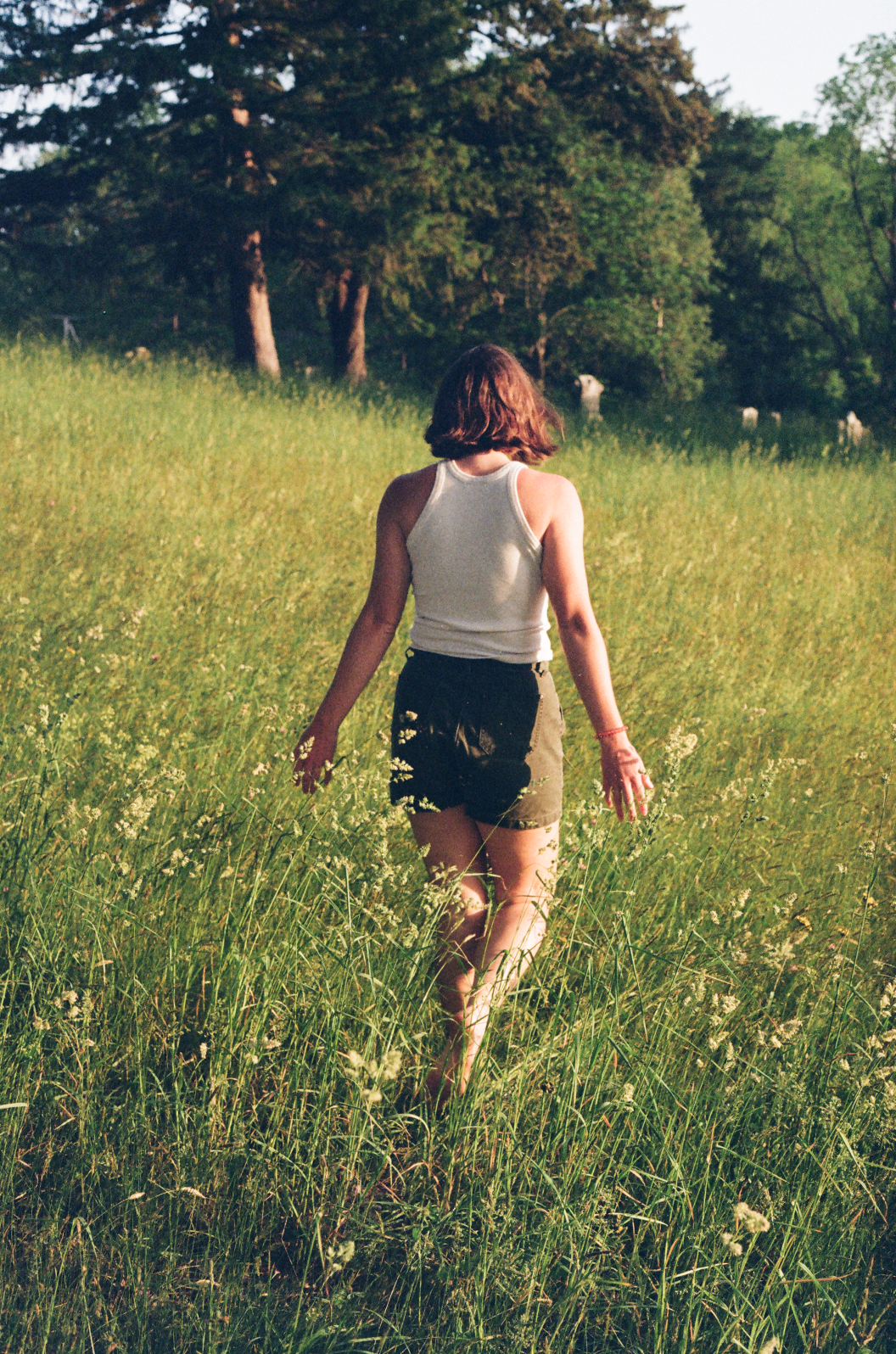 a person walking in a field