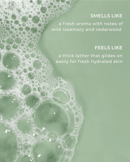 Hand & Body Wash