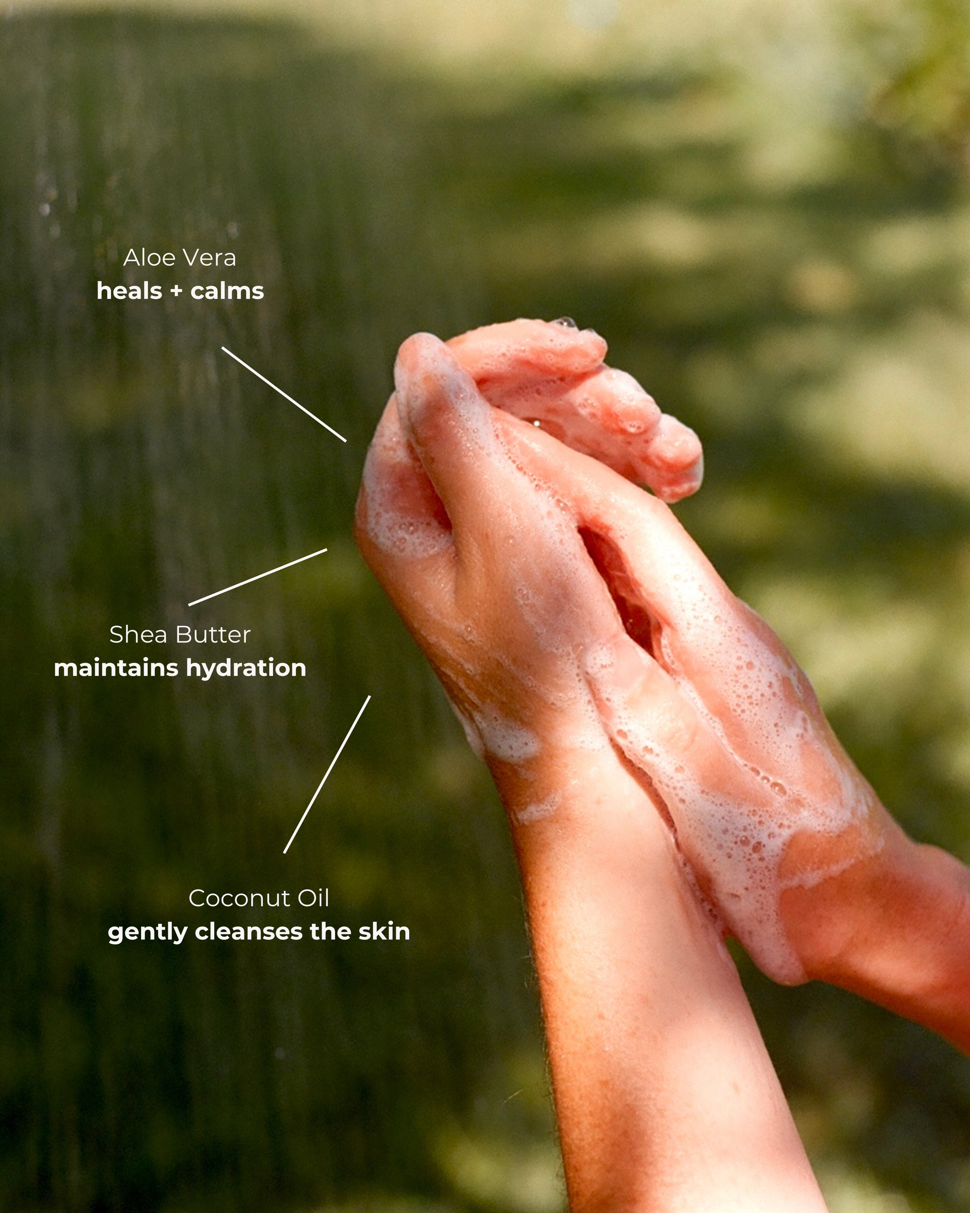 Hand & Body Wash