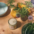 Candle, jars, and plants on a wooden table